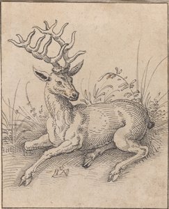 Der Hirsch von Jost Amman