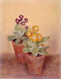 Ein Paar Mohnblumen