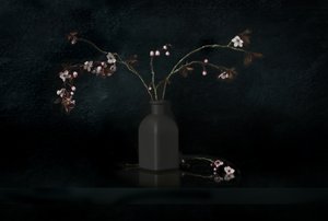 Kirschblüten Stillleben