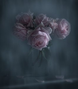 Stimmungsvolle Rosa Rosen
