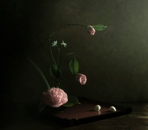 Rosa Kamelie Ikebana von Judy Tseng