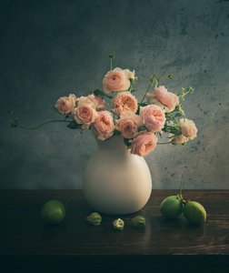 Rosa Rosen Stillleben