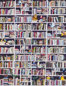 Bücherregale voller Wunder