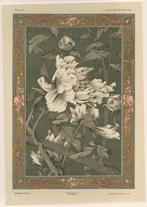 Blumen, Tafel 31 aus 