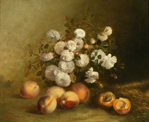 Blumen und Aprikosen