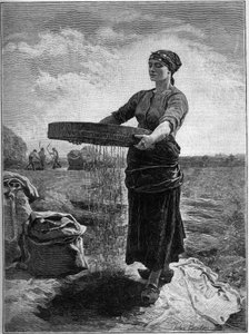 Raps-Siebmaschine: nach dem Gemälde von Jules Breton. In „Die Familie“ von 1888.