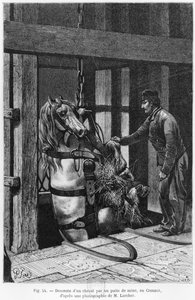 Pferd wird in den Kohleschacht von Le Creusot abgeseilt, Illustration aus 