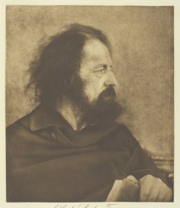 Alfred, Lord Tennyson (Der schmutzige Mönch) von Julia Margaret Cameron