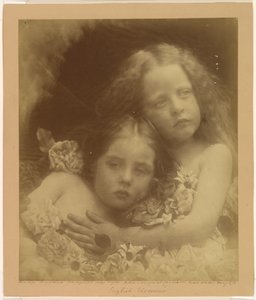 Englische Blüten von Julia Margaret Cameron