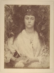Pomona von Julia Margaret Cameron