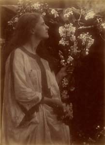 [Frühling] von Julia Margaret Cameron