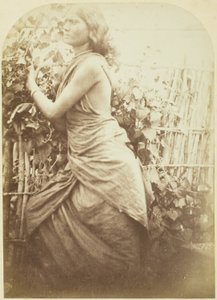 Frau, Ceylon