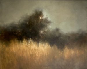 Nebelige Goldene Landschaft