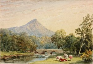 Sugarloaf Hill von Tynnahinch von Julia Swinburne