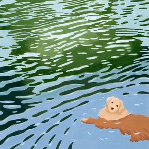 Schwimmender Golden Retriever