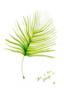 Grünes Palmblatt Aquarell