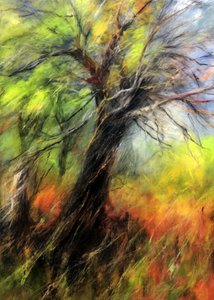 Lebendiger Herbstbaum von Justyna Jaszke