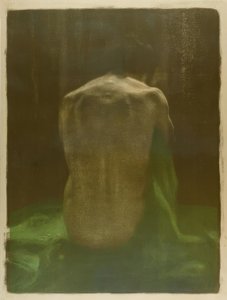 Weiblicher Rückenakt auf grünem Tuch von Käthe Kollwitz