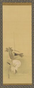 Reiher und Lotus, Edo-Periode, Mitte 17. bis frühes 18. Jahrhundert von Kanô Yôboku Tsunenobu