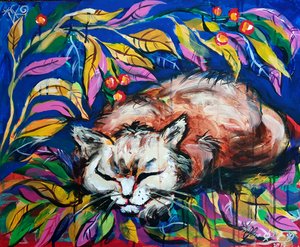Friedlich Schlafende Katze