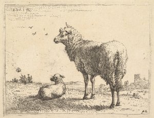 Ein ausgewachsenes Schaf in Dreiviertelansicht stehend und nach links schauend, daneben liegt ein Lamm, ca. 1655