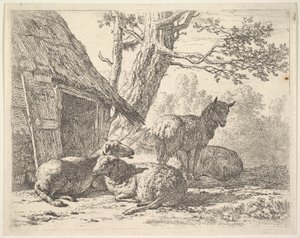 Vier Schafe, eines steht unter drei anderen, die auf dem Boden neben einem Schuppen liegen, 1658 von Karel Du Jardin