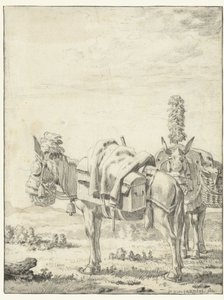 Zwei Maultiere von Karel Du Jardin