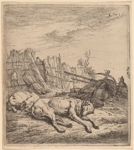 Jagdhunde von Karel Dujardin