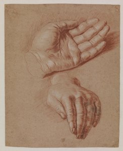 Studien von zwei Händen von Karel van III Mander