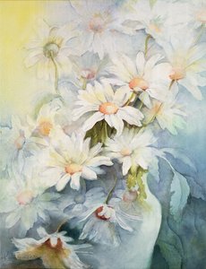 Chrysantheme, Schneekappe