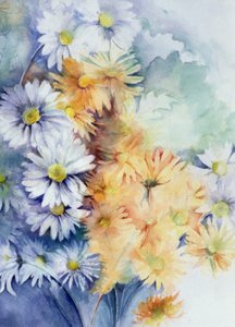 Chrysantheme, weiß und apricot