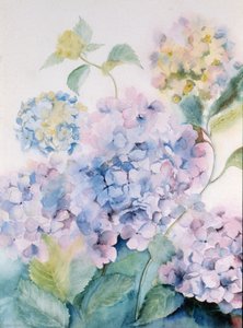 Hortensie, Blaue Welle I von Karen Armitage