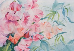 Lathyrus Odoratus, Duftwicke (horizontal) von Karen Armitage