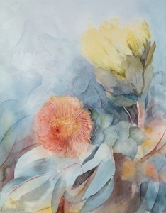 Südafrika Protea von Karen Armitage