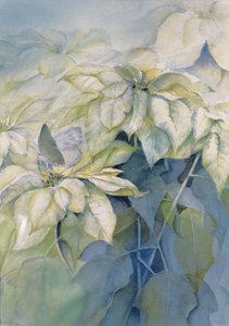 Weiße Weihnachtsstern (vertikal) von Karen Armitage