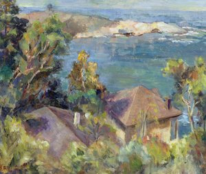Zapellar, Chile, 1996