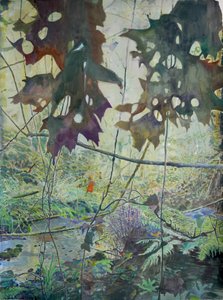 Herbstlicher Waldbach von Karin Bos