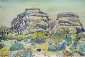Joshua-Tree-Landschaft