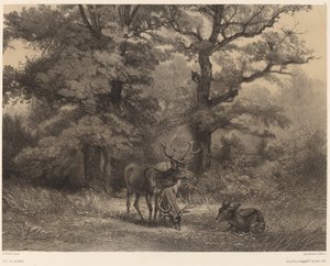 Hirsche auf der Weide von Karl Bodmer