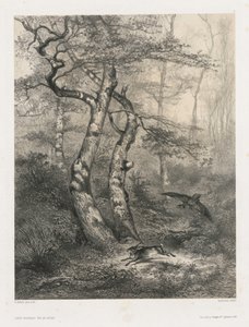 Hase von einem Habicht verfolgt von Karl Bodmer