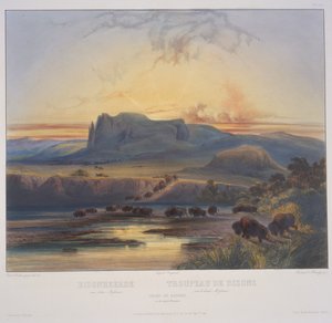 Bisonherde am oberen Missouri von Karl Bodmer