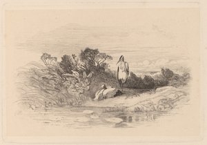 Reiher von Karl Bodmer