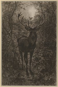  von Karl Bodmer