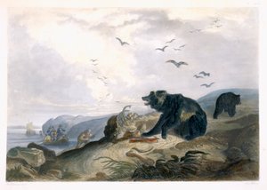 Jagd auf den Grizzlybären, Tafel 36 aus Band 2 von 