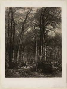 Im Wald
