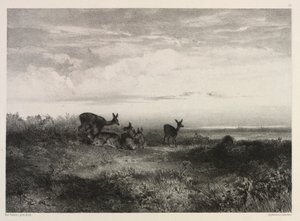 Landschaft mit Hirschen, ca. 1840 von Karl Bodmer