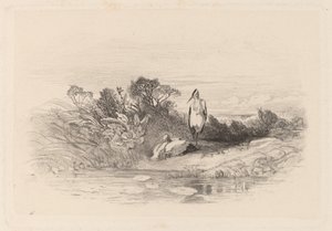 Les Deux Herons von Karl Bodmer