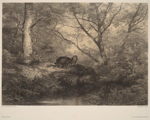  von Karl Bodmer