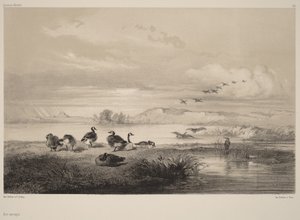  von Karl Bodmer