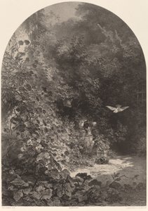 Eine Ecke des Gartens